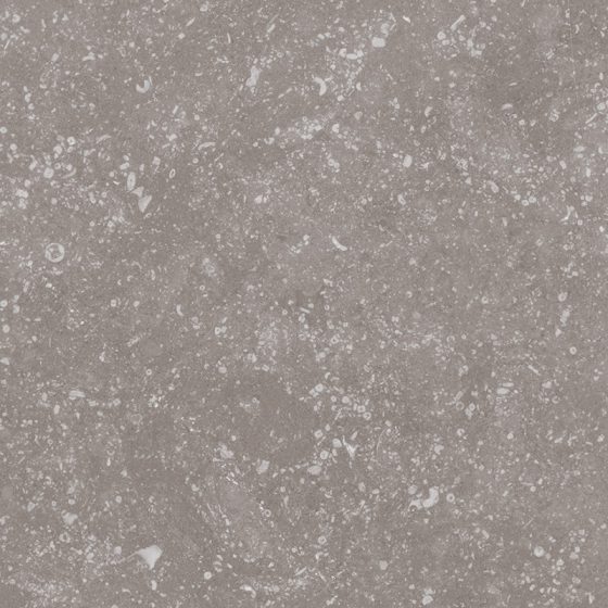 Coralstone Grey 20x20